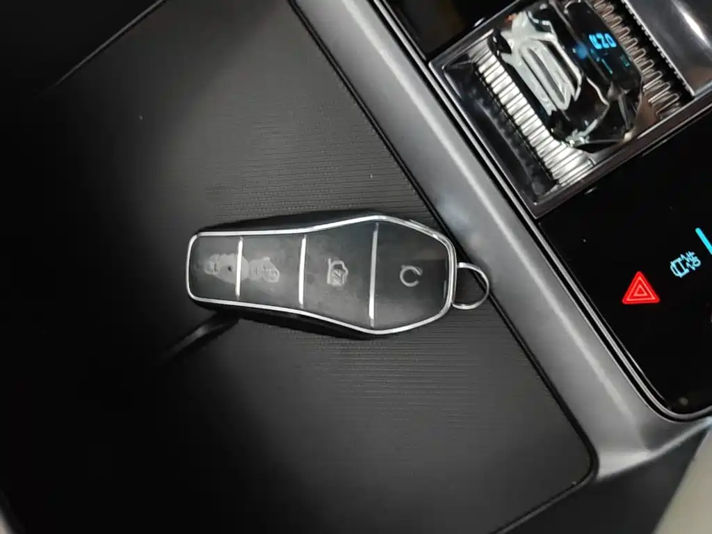 BYD Song PLUS New Energy 2024 — фото 9