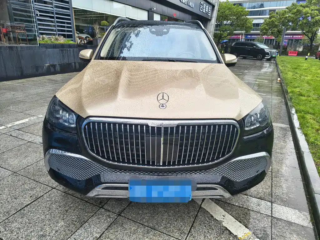 Mercedes-Benz GLS 2021 — фото 2