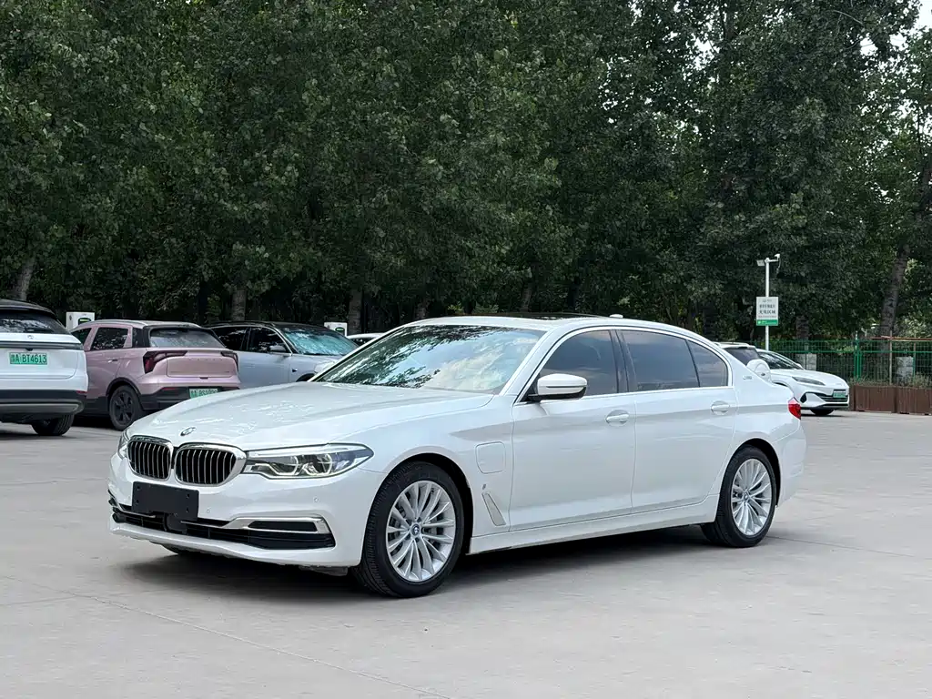 BMW 5 Series New Energy 2019