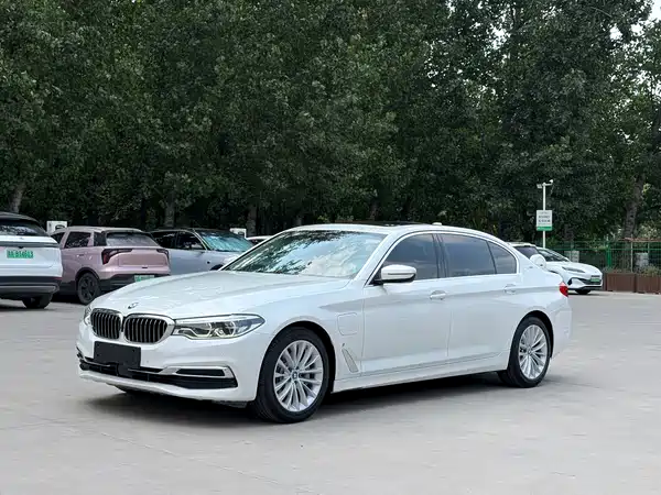 BMW 5 Series New Energy 2019