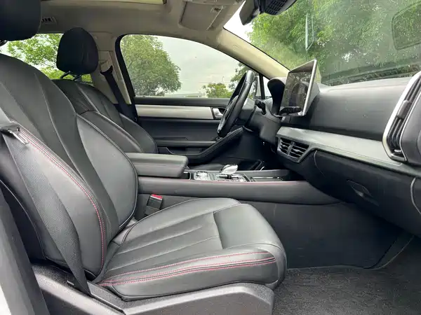 BYD Tang New Energy 2019
