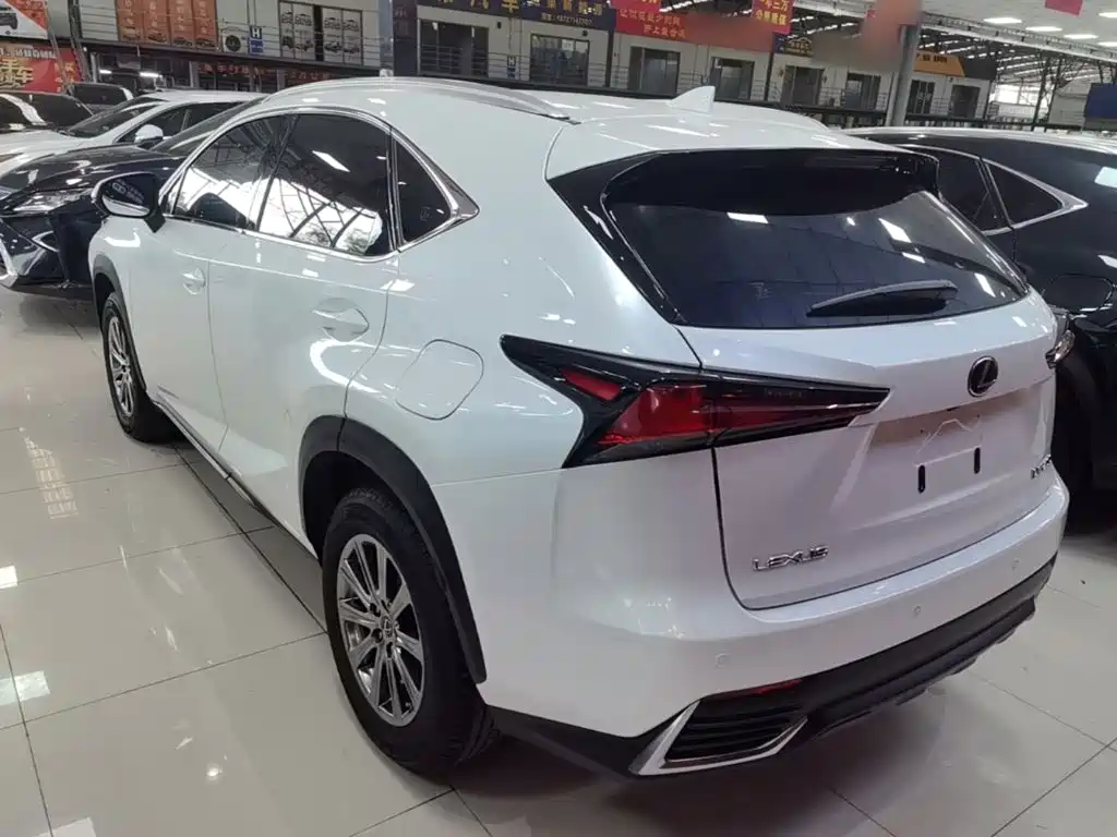 Lexus NX 2020 — фото 5