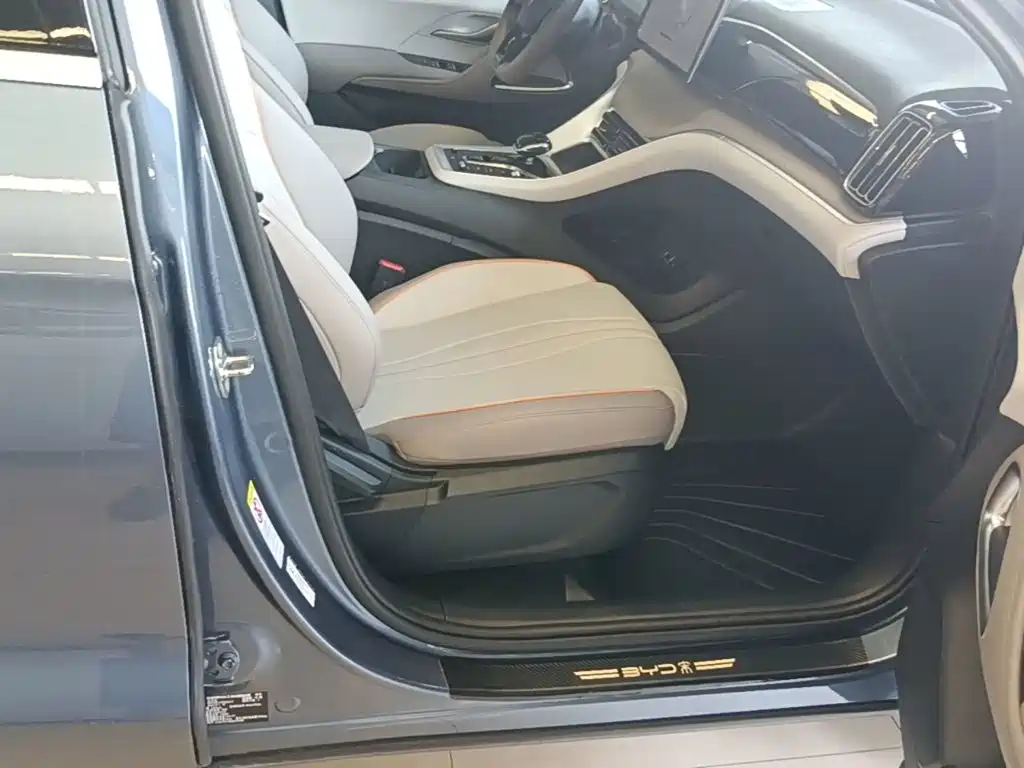 BYD Song Pro New Energy 2024 — фото 25