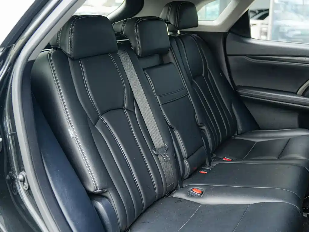 Lexus RX 2020 — фото 15