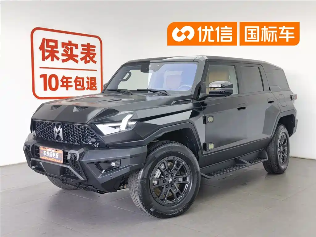 Mengshi 917 2024