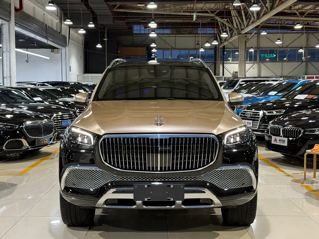 Mercedes-Benz Maybach GLS 2022 — фото 3