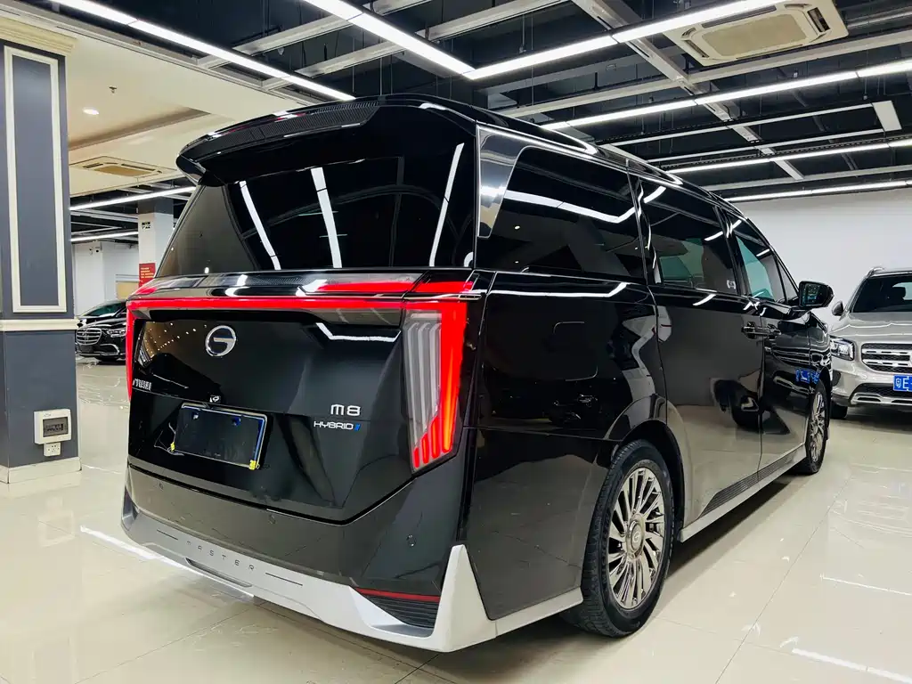 GAC Motor Trumpchi M8 2023 — фото 18