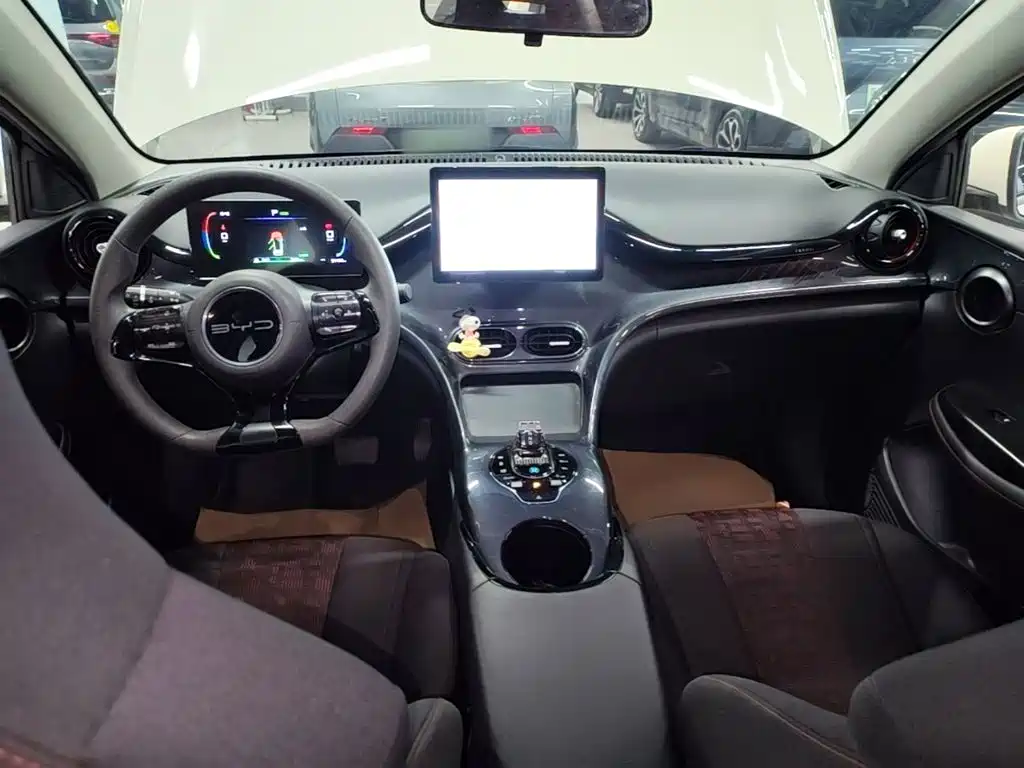 BYD e2 2024 — фото 10