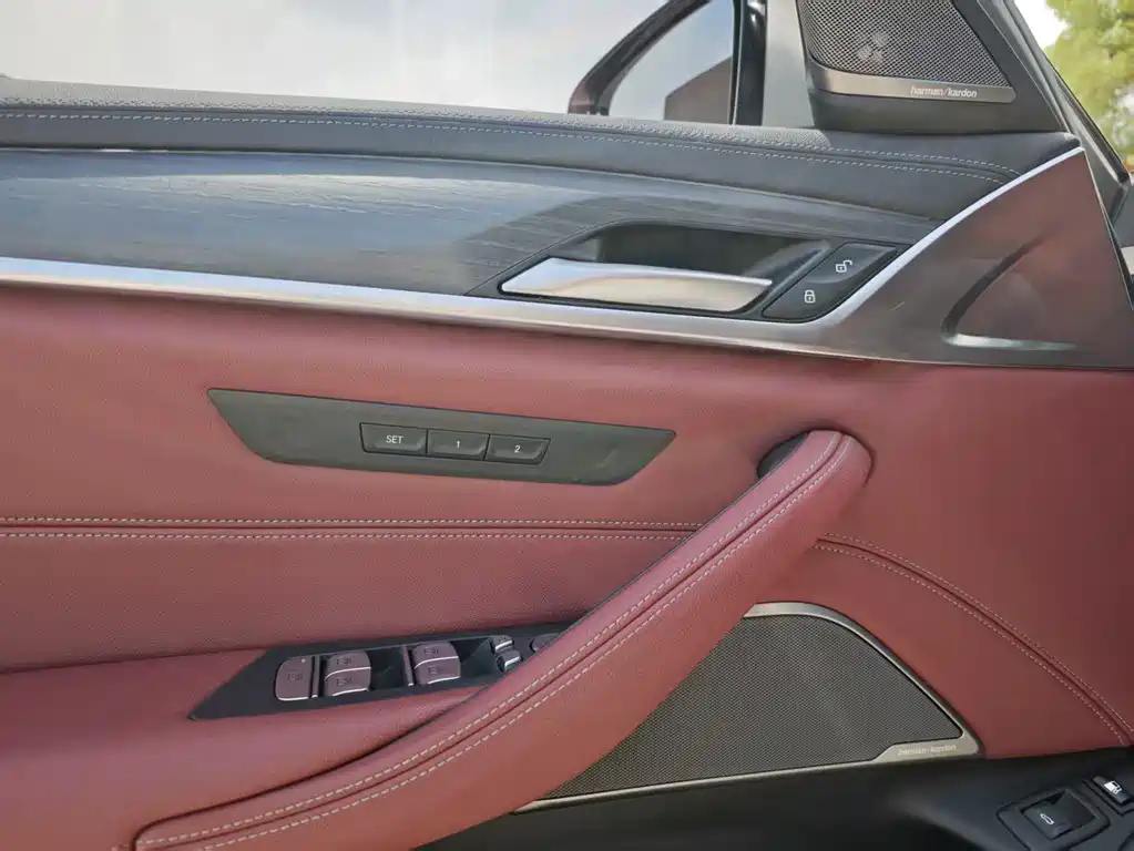 BMW 5 Series New Energy 2021