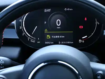 MINI MINI 2021