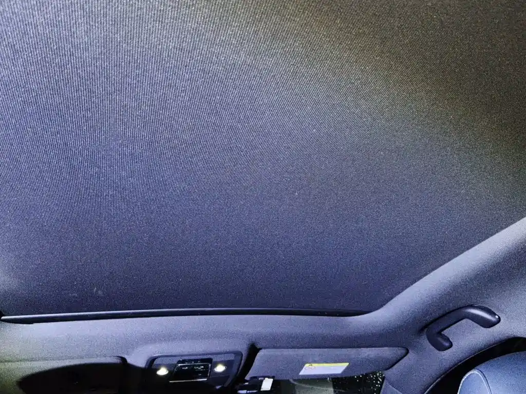 BYD Song PLUS New Energy 2021 — фото 15