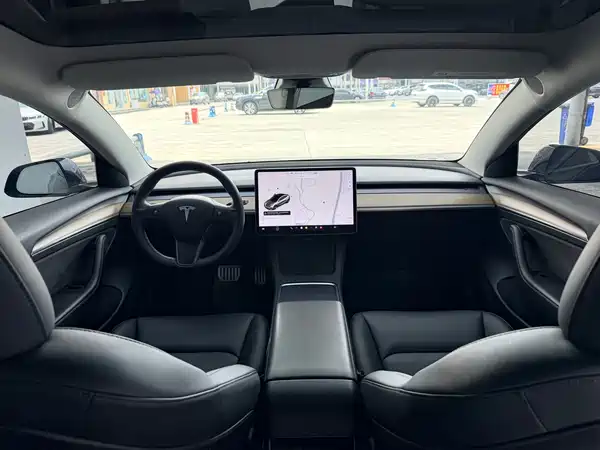 Tesla Model 3 2021