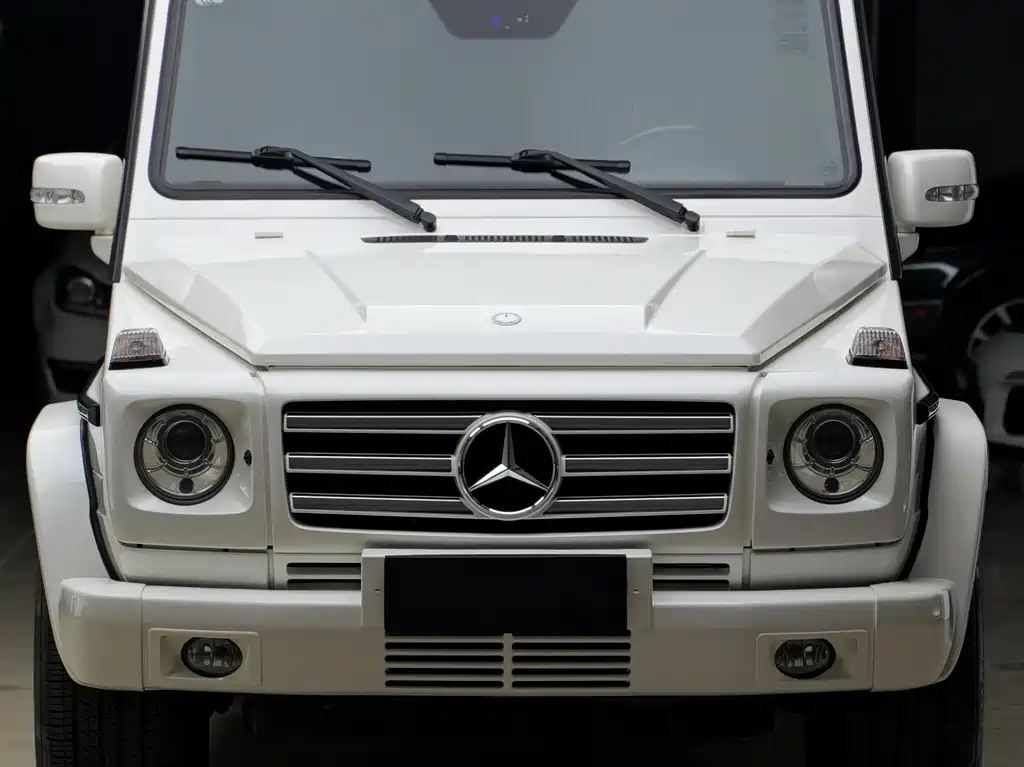 Mercedes-Benz G-Class AMG 2010 — фото 2