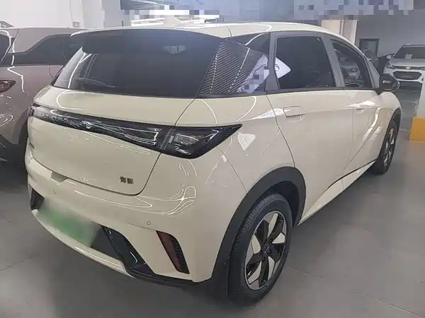 BYD Dolphin 2026