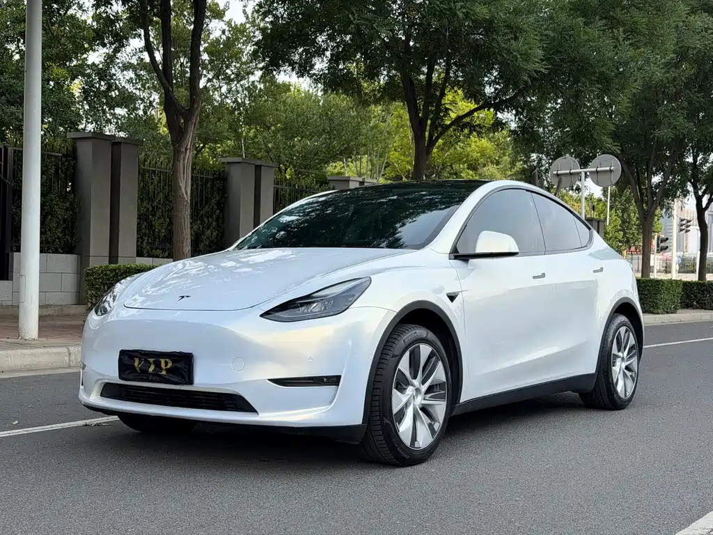 Tesla Model Y 2023 — фото 1