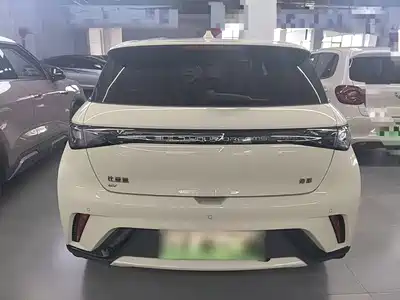 BYD Dolphin 2026