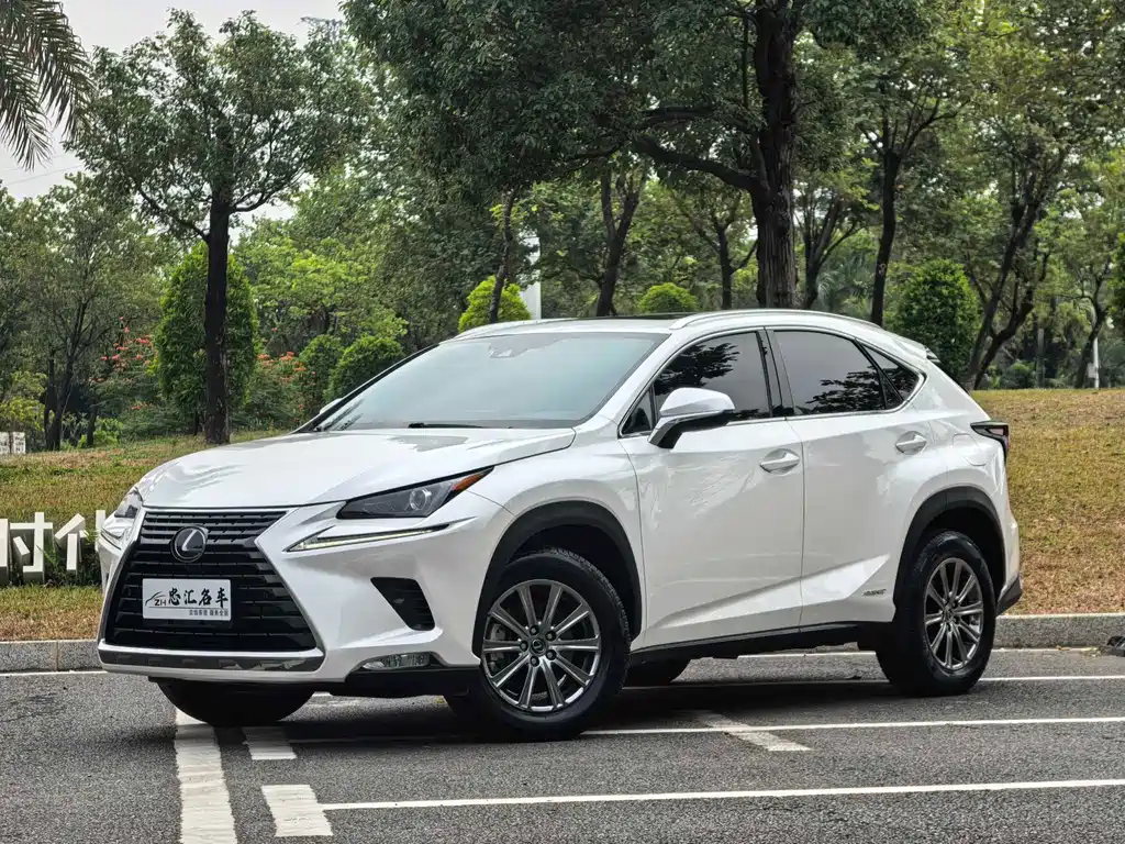 Lexus NX 2020 — фото 1