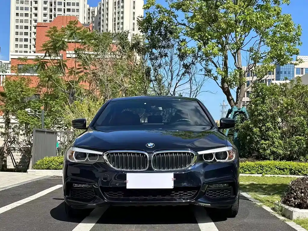 BMW 5 Series 2019