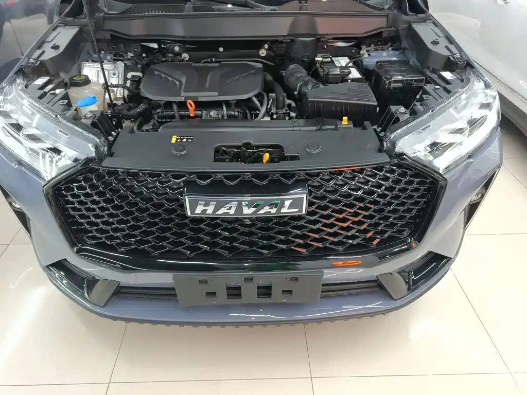 Haval H6 2023 — фото 16