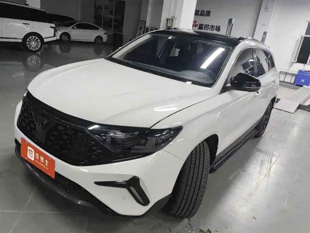 Jetta VS7 2024