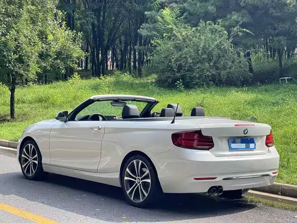 BMW 2 Series 2019