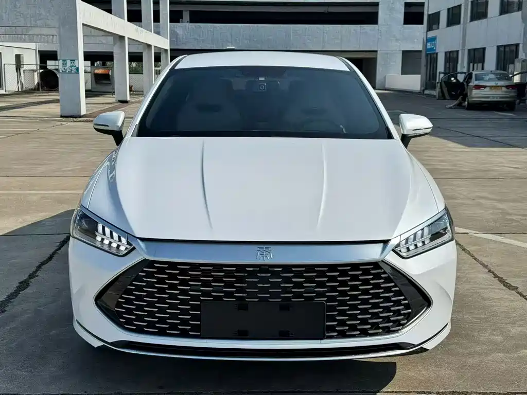 BYD Qin PLUS 2024 — фото 3