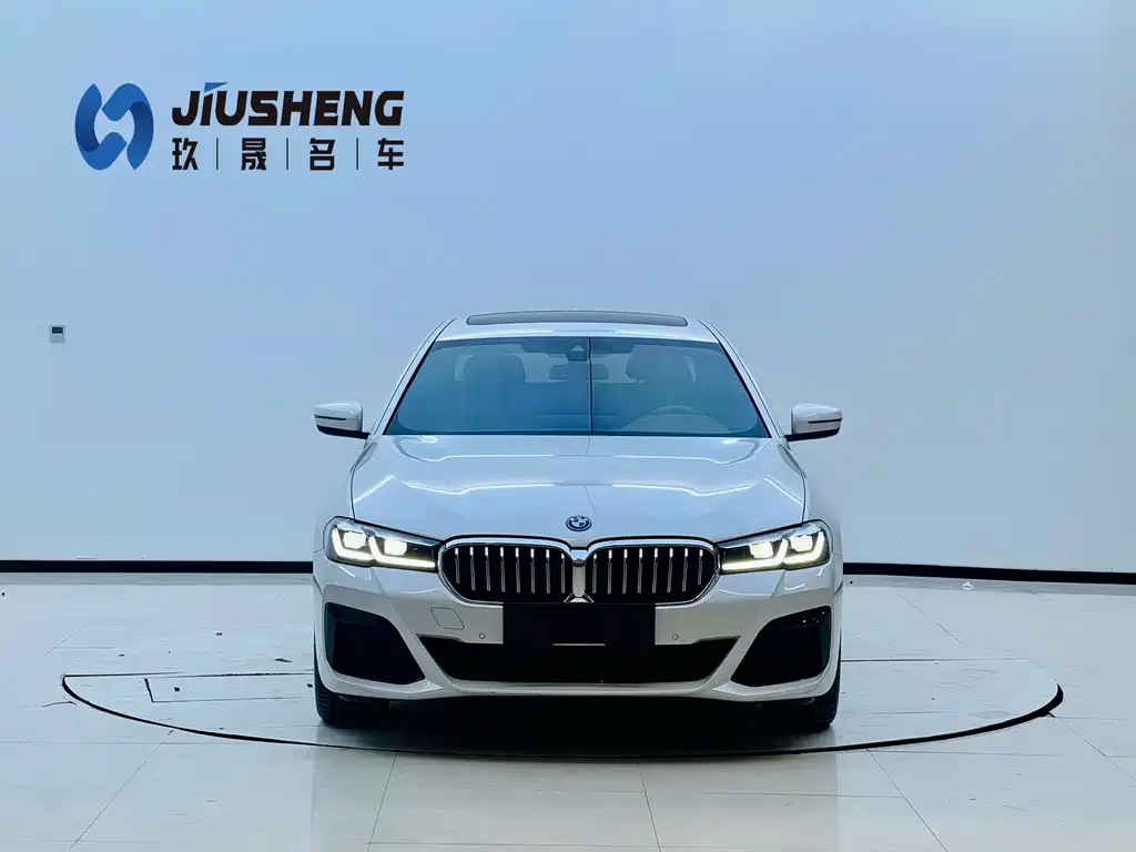 BMW 5 Series New Energy 2022