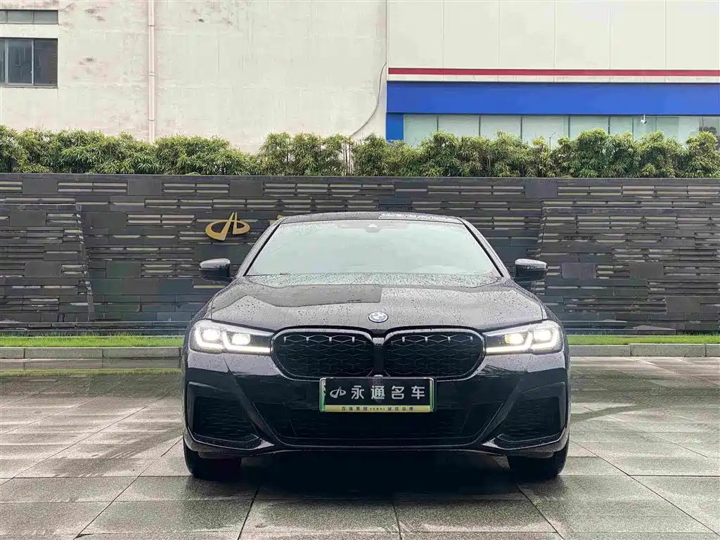 BMW 5 Series New Energy 2022