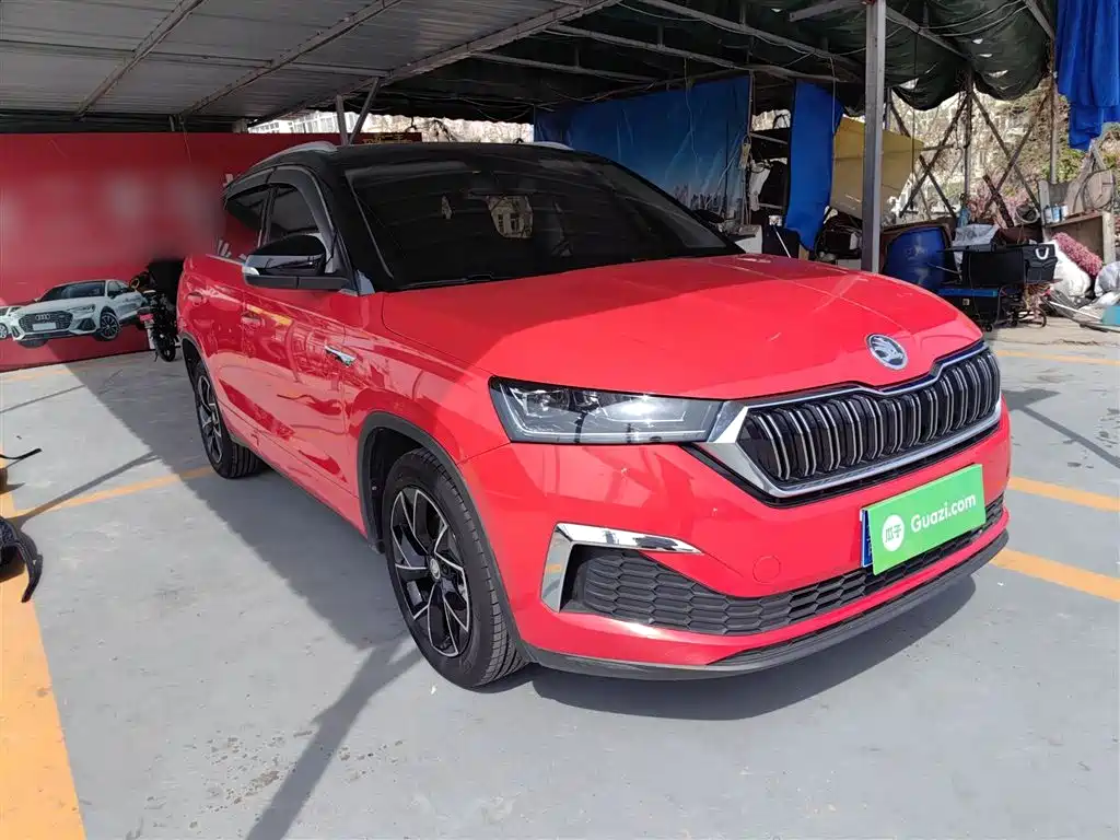 Skoda Kamiq 2020 — фото 22
