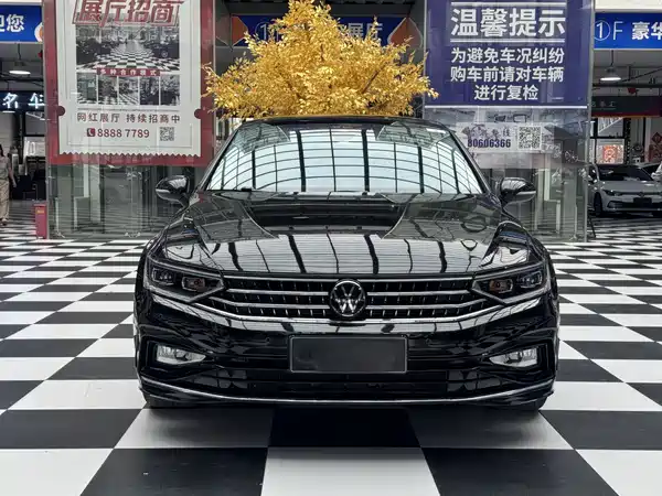 Volkswagen Magotan 2024