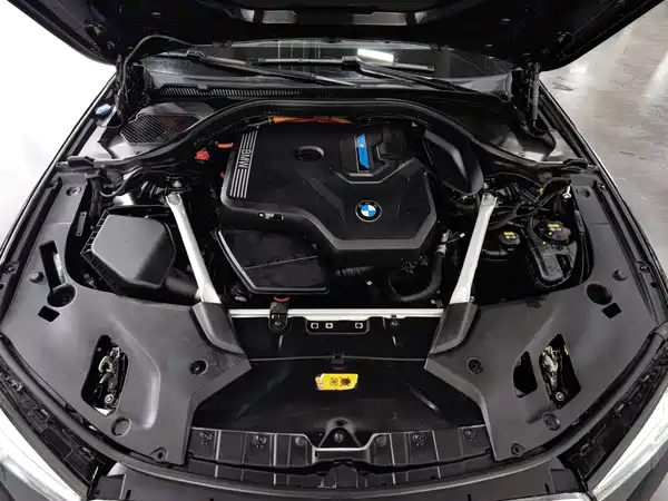 BMW 5 Series New Energy 2021
