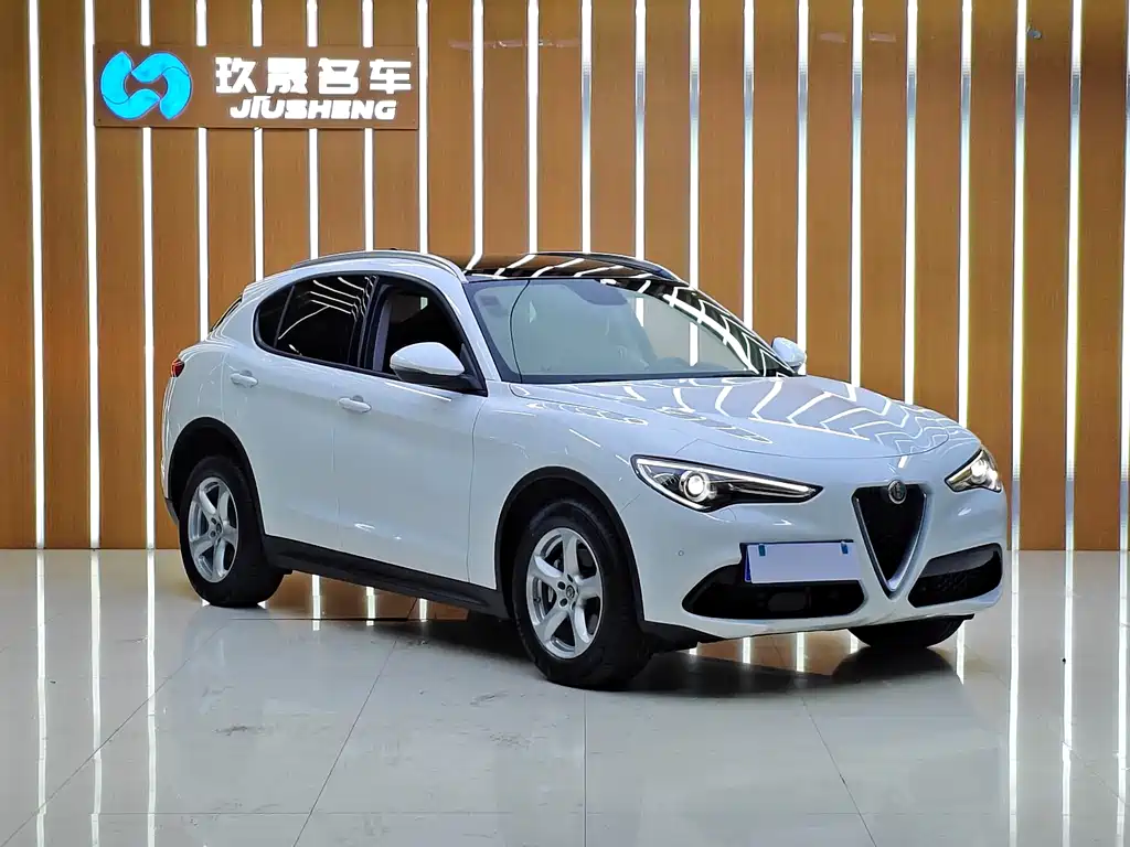 Alfa Romeo Stelvio 2019 — фото 3