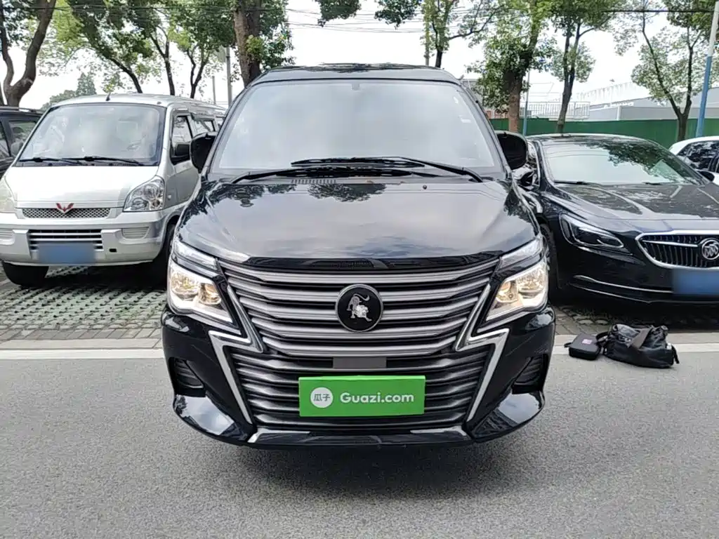 Fengxing Lingzhi 2024