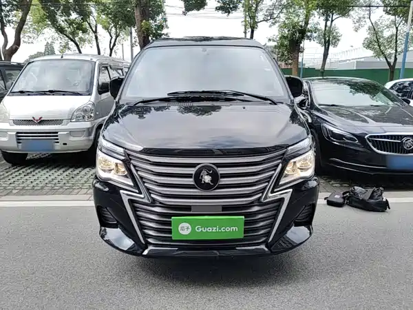 Dongfeng Lingzhi 2024