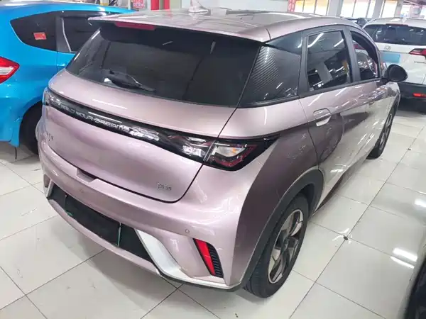 BYD Dolphin 2024