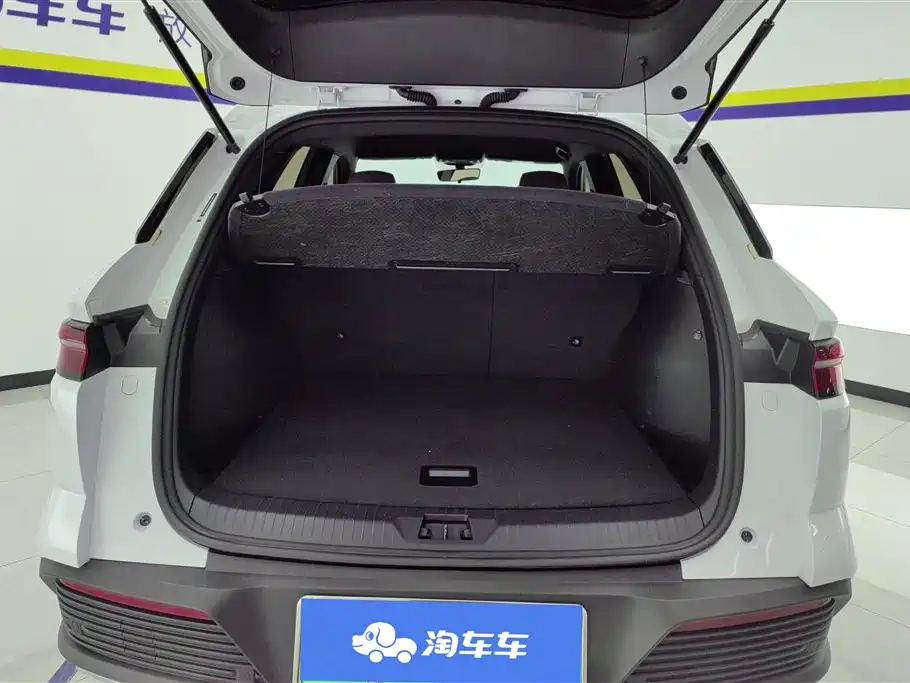 BYD Pro New Energy 2024 — фото 4