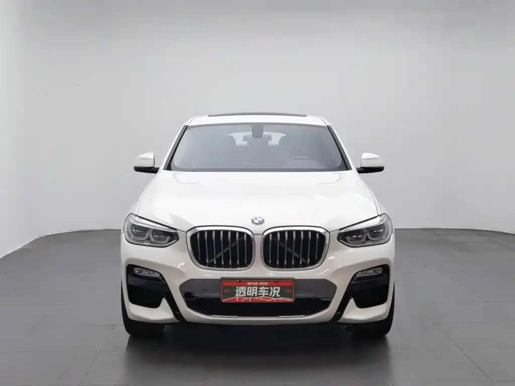 BMW X4 2019 — фото 3