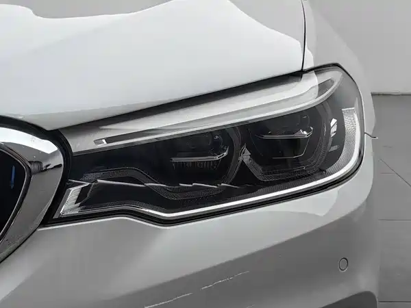 BMW 5 Series New Energy 2019