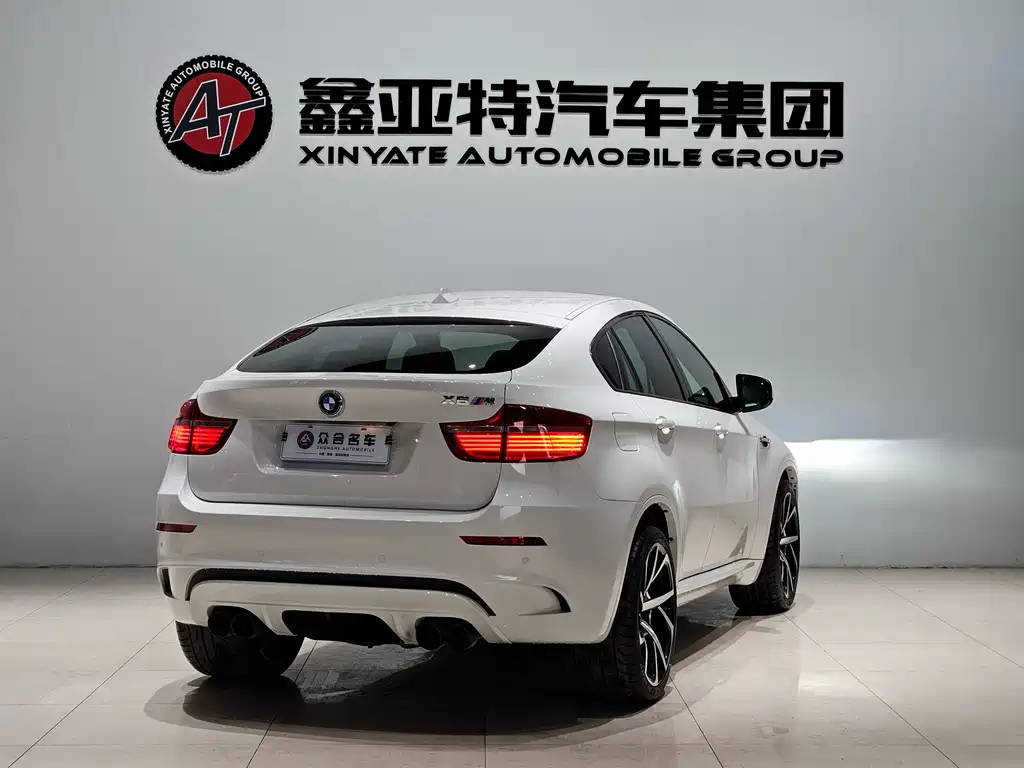 BMW X6 M 2010 — фото 7