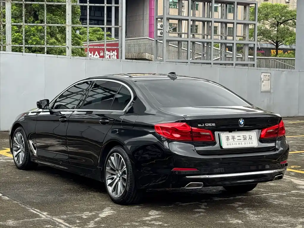BMW 5 Series New Energy 2020 — фото 11