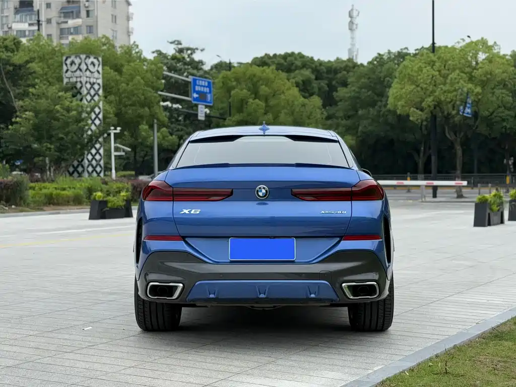 BMW X6 2021