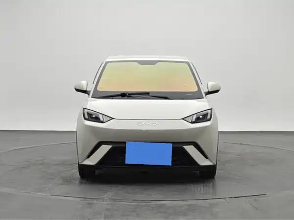 BYD Seagull 2024
