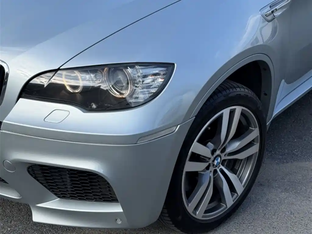 BMW X6 M 2011 — фото 9