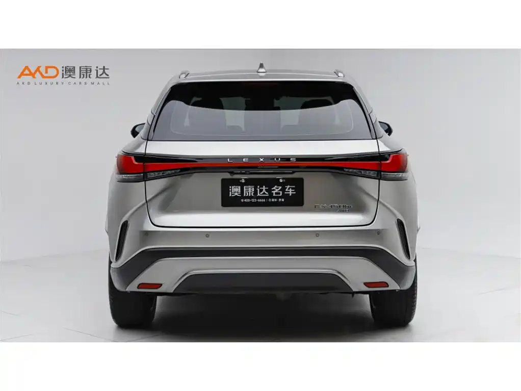Lexus RX New Energy 2023 — фото 4