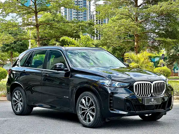BMW X5 2014