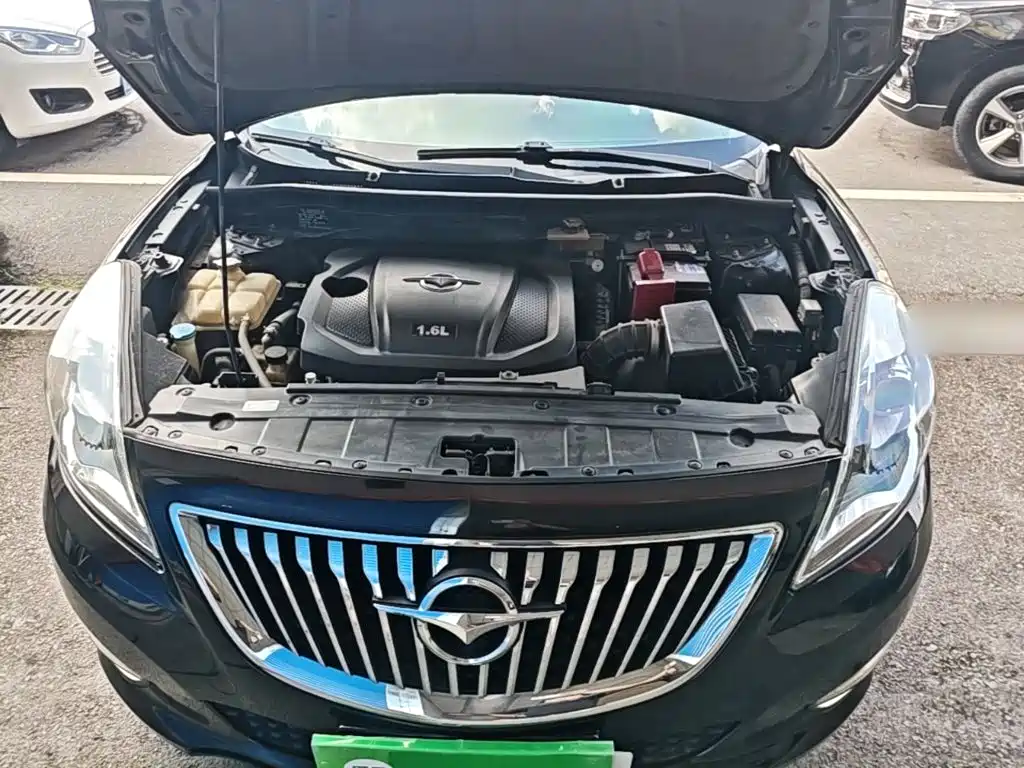 Haima Vanda Electric 2015 — фото 20