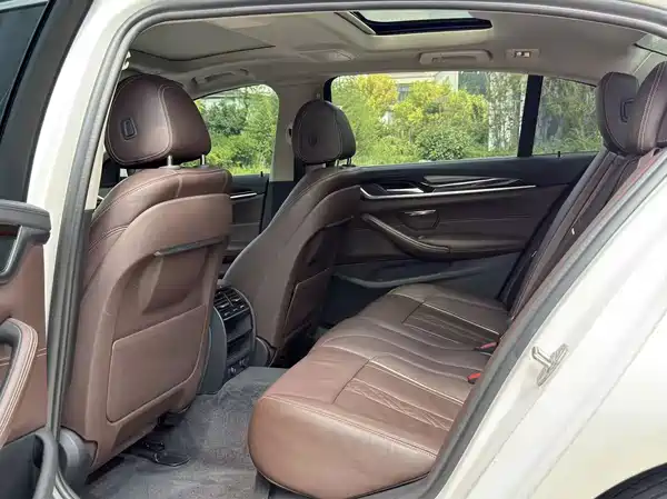 BMW 5 Series New Energy 2019