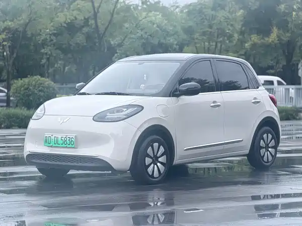 Wuling Bingo 2024