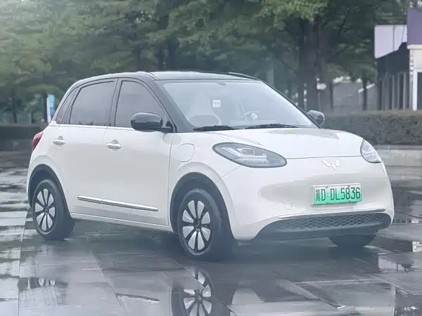 Wuling Bingo 2024