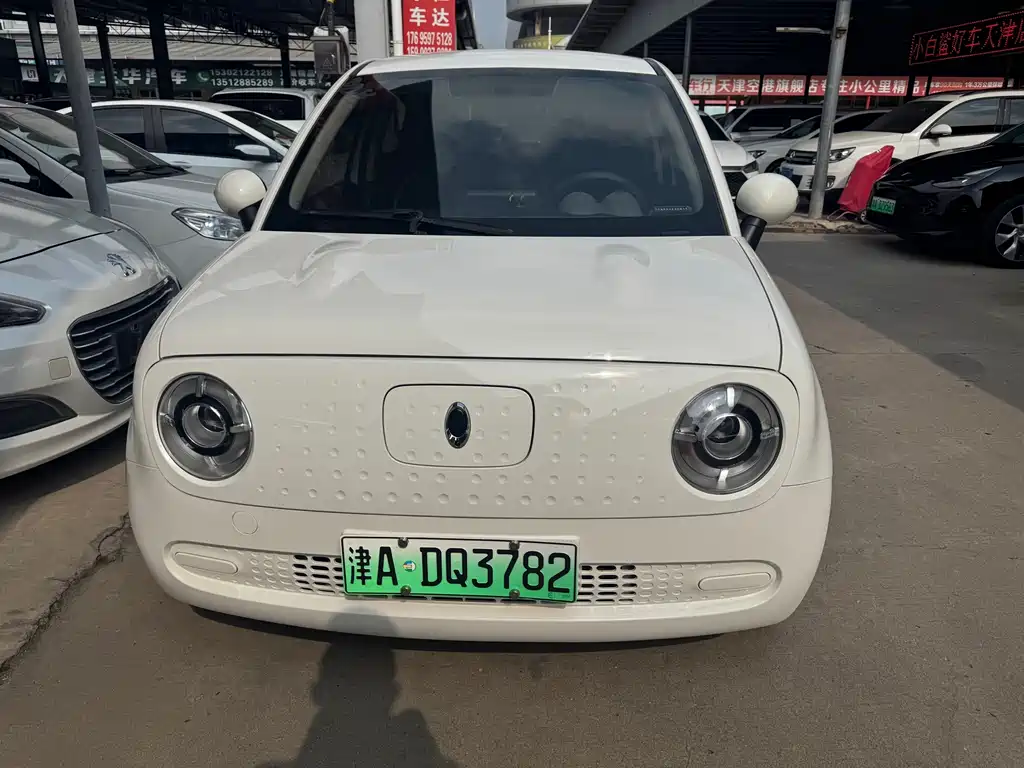 Ora Black Cat 2021